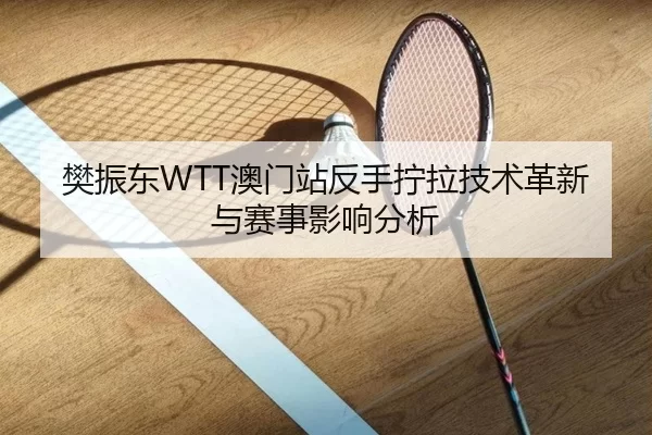 樊振东WTT澳门站反手拧拉技术革新与赛事影响分析