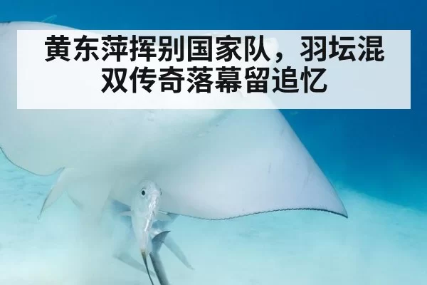 黄东萍挥别国家队,羽坛混双传奇落幕留追忆